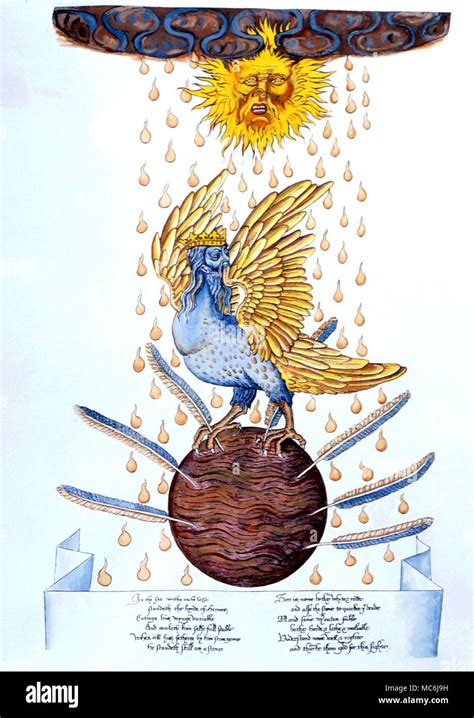 bird of hermes|bird of hermes meaning.